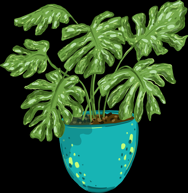 【蘑菇影视官网】原汁原味独家手记描摹 - 多角度透视,蘑菇影视现在叫什么